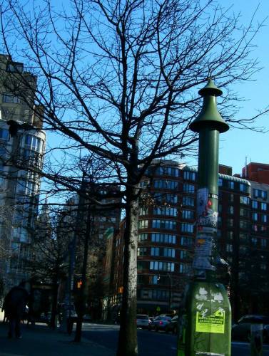 NYC_2006-12-10 12-10-08